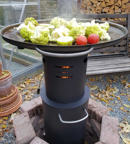 Terra Preta herstellen im eigenen Garten Helmuth Focken Biotechnik e.K