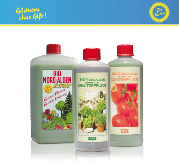 Bio Nordalgen Extrakte aus Braunalgen Ascophyllum nodosum