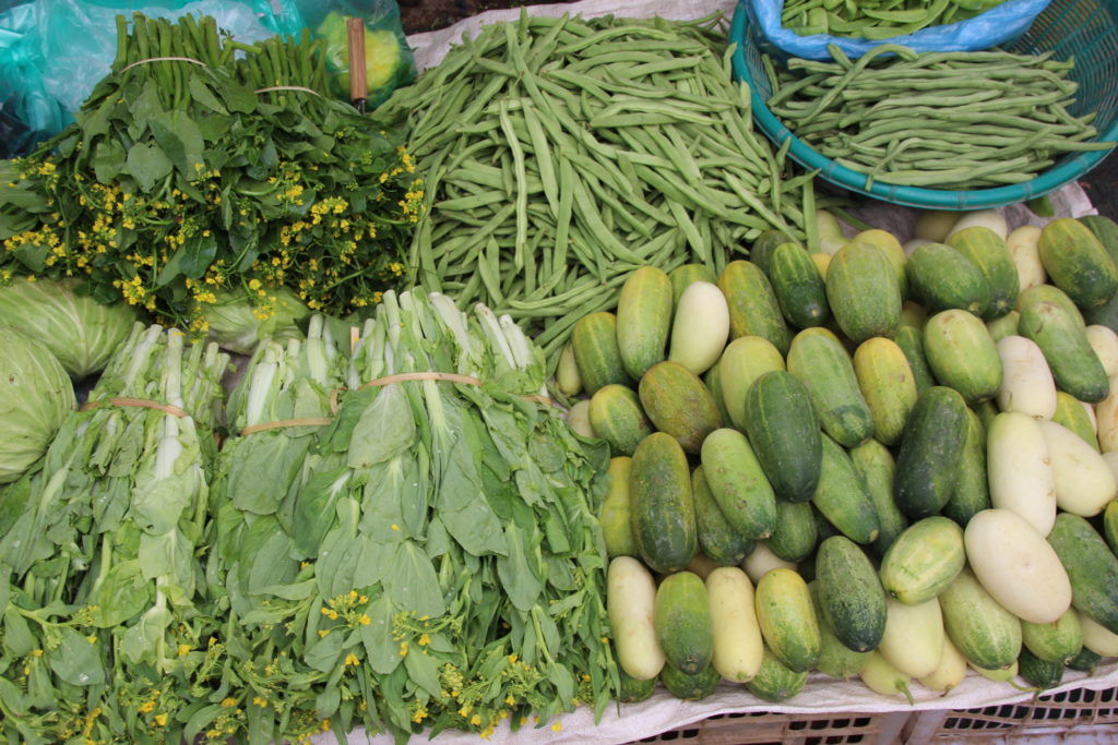 Eokomit im Milpaanbau Helmuth Focken BiotechnikHelmuth Focken Biotechnik