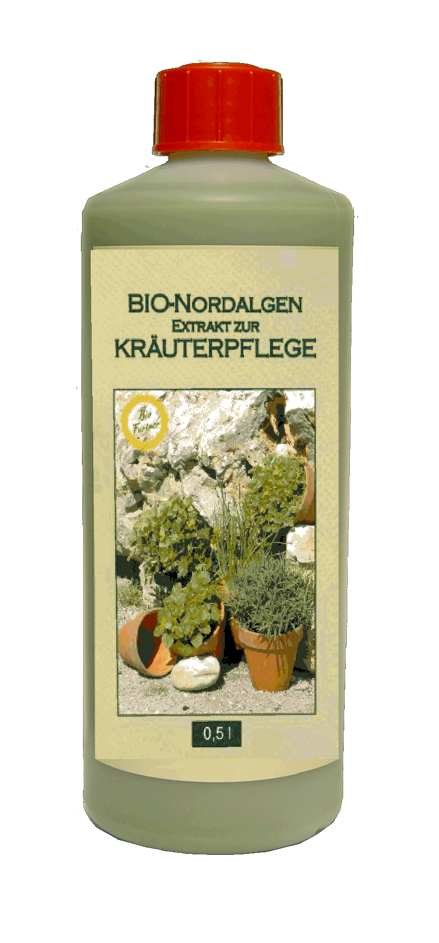Braunalgen Extrakt aus Ascophyllum nodosum für Kräuter