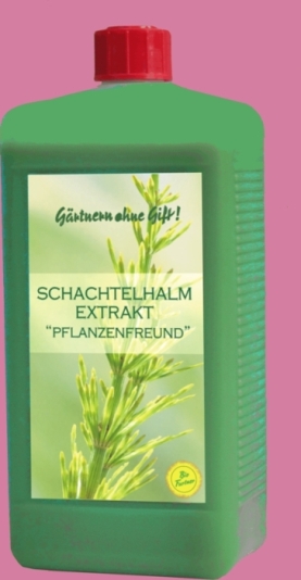 Schachtelhalmextrakt-vorbeugendes- Pilzbekämpfungsmittel-chitodent-vertrieb.de Schachtelhalmextrakt-Pilzbekämfungsmittel gegen Mehltau-www.chitodent-vertrieb.de